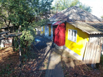 Casa cu teren intravilan de vanzare in sat Blînzi/Corod