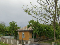 Casa si teren Ciocile, jud. Braila - termen 13.08