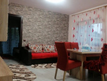 Apartament deosebit, 3 camere, mobilat si utilat, zona Subce