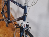 Bicicleta GIANT Trekking XL