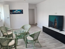 Carani [ Sanandrei ] – Casa 4 Camere Parter