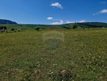 Teren 5,000mp Piatra-Neamt / Strada Punct Petruca