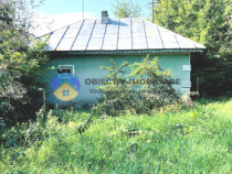 TEREN intravilan + casa DOBRENI - SARATA