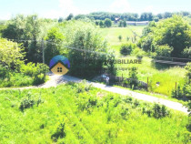 TEREN intravilan + casa DOBRENI - SARATA