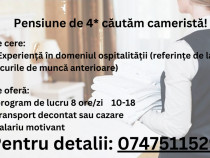 Pensiune de 4* din Predeal căutăm cameristă!