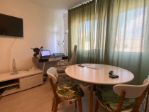 Apartament 2 cam Alexandru cel Bun, mobilat și utilat, CT