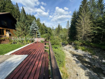 Sinaia - Prahova Valley | Mountain Villa - River Terrace | C