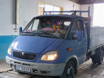 Camioneta Gazella,iveco basculabil