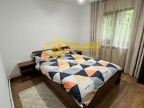 Apartament 2 camere, Podu de Fier