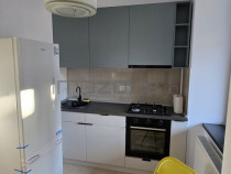 De inchiriat-apartament 2 camere, decomandat, etaj 1/5, D...