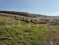 Teren intravilan de vanzare in Bardesti