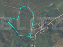 Teren intravilan de 3,6 ha, Tomesti