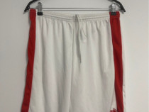 Pantaloni Sport (scurți) - (ERREA)