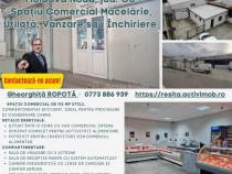 Moldova Noua, Spatiu Comercial - Macelarie, Utilata, sau