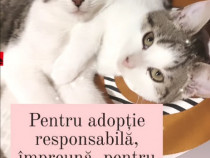 Pentru adopție responsabilă