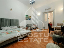 Apartament cu 1 camera, confort sporit, situat in Paiata ...