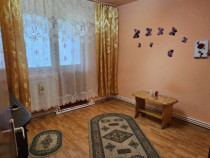 Apartament 2 camere str. Tineretului