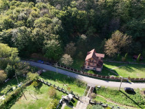 Vila Vetel zona Valea Caoi-OFERTA SPECIALA DE SARBATORI