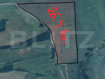 Tern extravilan 26,3974 ha, Ardud