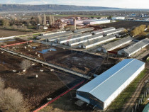 Hale 16 mii mp cu 9 ha teren intravilan