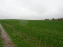 Teren intravilan arabil, situat in Com. Valea Mare, jud. Olt