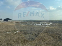 Teren Selgros Aleea 7 din str. Lamaitei 6354 mp intravilan