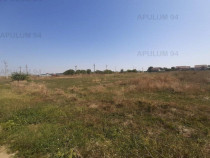 Teren pentru investitie langa Bucuresti