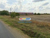 Teren la sosea Balotesti Tunari 21643 mp toate utilitatile