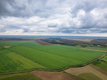 Teren arabil de 174 hectare &icirc;n Călărași