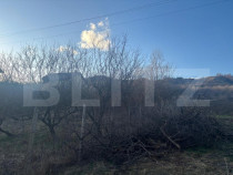 Teren de vanzare, 3300 mp, zona Unirea