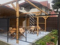Casa unifamiliala în Timișoara,cu spațiul comercial