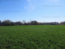 Teren constructii zona Lacu Sarat, suprafata 3393 mp, 22 eu