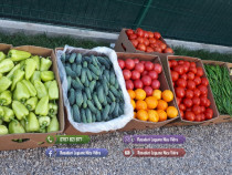Rasad rosii Rasaduri Legume ardei castraveti vinete salata tomate 2025