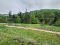 Teren intravilan 20.000 mp, zona Soarecului, Marginea