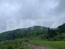 Teren intravilan 20.000 mp, zona Soarecului, Marginea