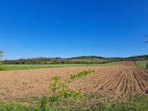 Cota de 1/2 din teren extravilan, comuna Rogova, Jud Mehe...