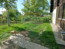 Casă de vânzare în stil vechi cu 3 camere si 3 arii î...