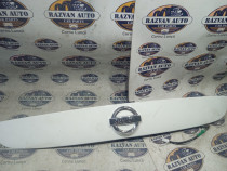 Ornament haion Nissan Juke 2011