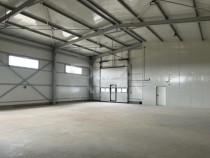 Hala de inchiriat in Domnesti / Centura