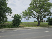 Teren , Liteni Moara, la sosea