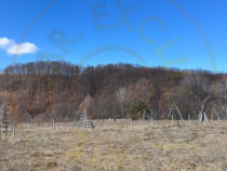 Teren Cicanesti Arges, la 10 KM de Transfagarasan - Comision