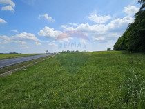 Teren Ilisesti 7000mp extravilan/ DN 17, Suceava