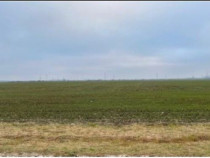 Teren Extravilan Cerna, ID: R2581973
