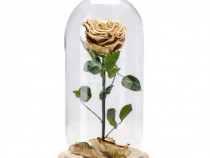 Floare criogenata poleita cu aur