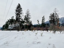 Teren intravilan - Sacele - Brasov