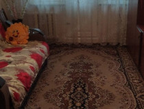 2 camere in zona Medicinei