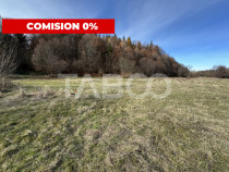 COMISION 0% Teren extravilan 1630 mp langa Rau pe Valea Sebe