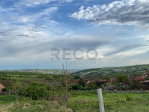 RECO Teren intravilan in Saldabagiu de Munte 985mp