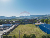 Teren industrial 4,400mp Carpinis / DJ 112D,