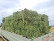 Baloti de lucerna, baloti de fan si otava